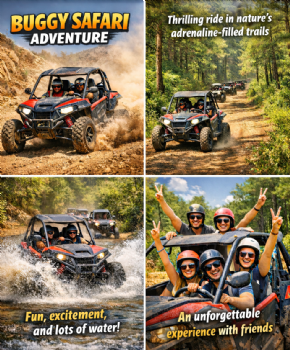 Buggy Safari